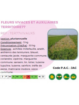 Fleurs vivaces et...