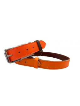 Collier chien cuir orange...