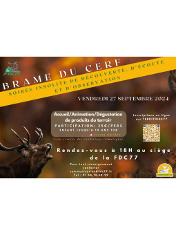 Brame du cerf